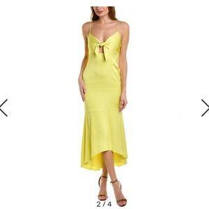 Aidan By Aidan Mattox
Tie-Front High-Low Flounce Dress